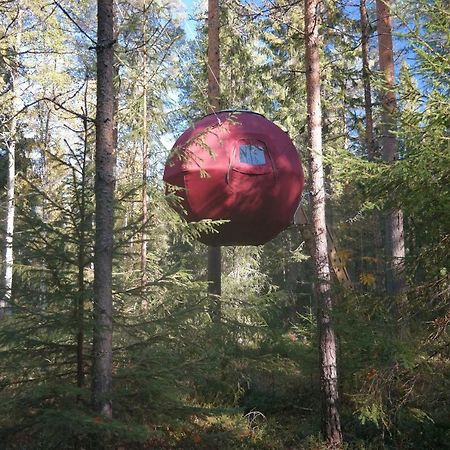Naesets Marcusgard Villa Furudal Bagian luar foto